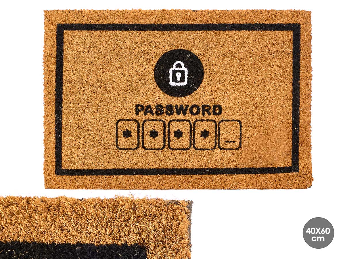 Paillasson 40x60cm password
