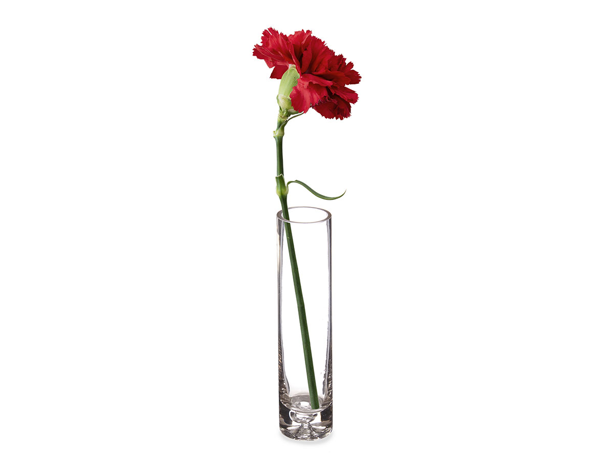 Oval glass vase - Image 4