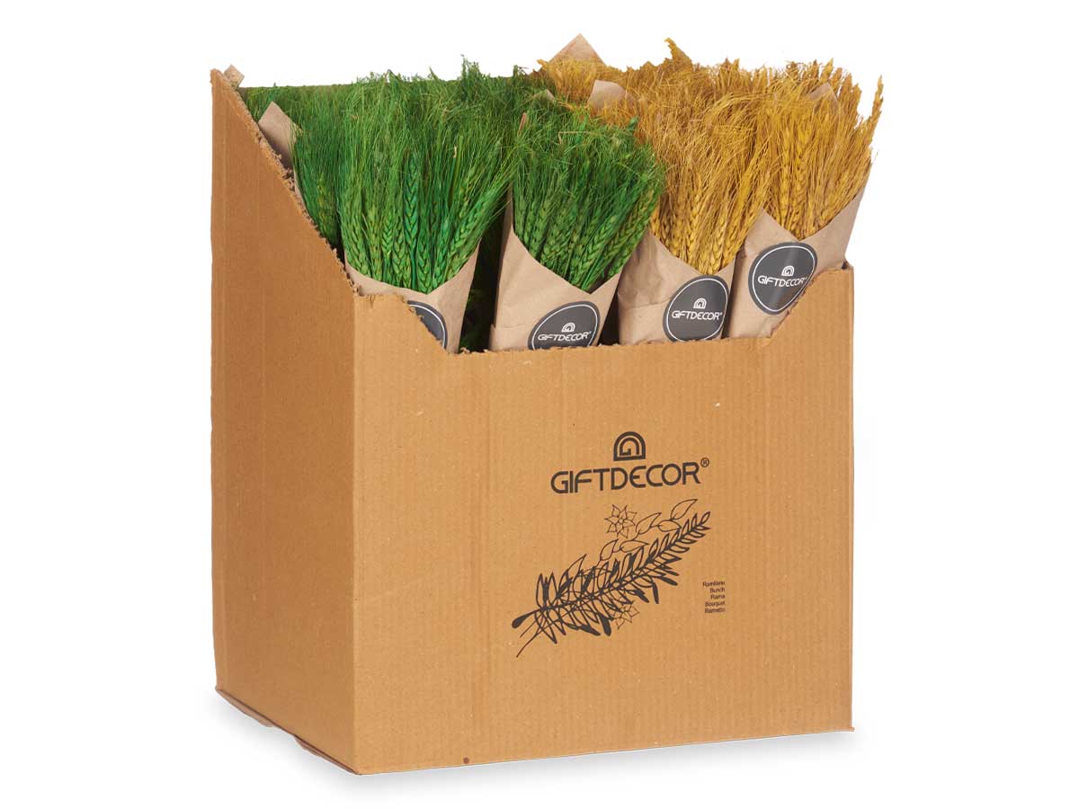 Bouquet épi 2 couleurs assort jaune vert – Image 3